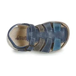 Citrouille et Compagnie - ZIDOU