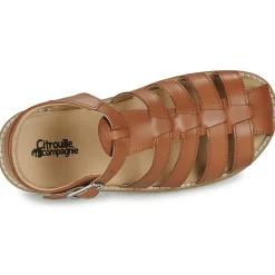 Hot Citrouille et Compagnie - ASMILO Camel