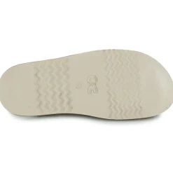 Hot Citrouille et Compagnie - ASMILO Camel