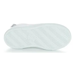 Citrouille et Compagnie - RIVIALELLE