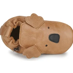 Citrouille et Compagnie - CARAMI Camel