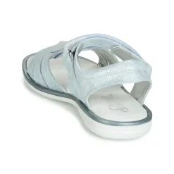 Citrouille et Compagnie - JAFILOUTE