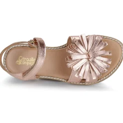 Citrouille et Compagnie - PETALE Pinkgold Clearance