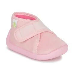 Citrouille et Compagnie - HALI Roseclair