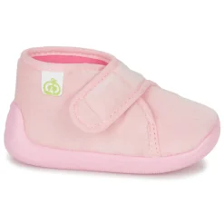 Citrouille et Compagnie - HALI Roseclair