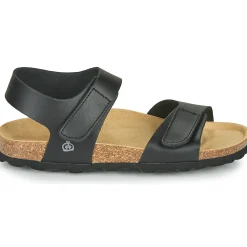 Citrouille et Compagnie - BELLI JOE Noir Online