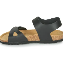 Citrouille et Compagnie - BELLI JOE Noir Online