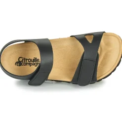 Citrouille et Compagnie - BELLI JOE Noir Online