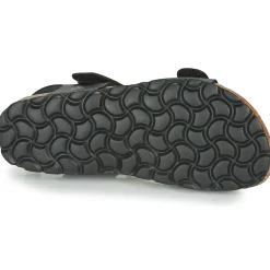 Citrouille et Compagnie - BELLI JOE Noir Online