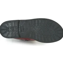 Citrouille et Compagnie - HEMANU Bordeaux Online