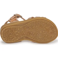 Citrouille et Compagnie - ROLUI Vieuxrose Hot