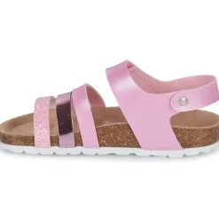 Citrouille et Compagnie - ZELLIE Rose