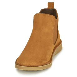 Citrouille et Compagnie - HOVETTE Camel Best