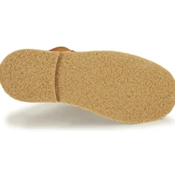 Citrouille et Compagnie - HOVETTE Camel Best