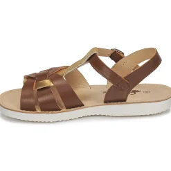 Citrouille et Compagnie - MINOTTE