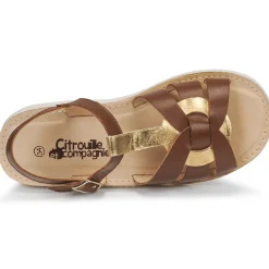 Citrouille et Compagnie - MINOTTE