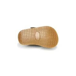 Citrouille et Compagnie - MISTIGRI Kaki Online