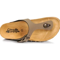 Citrouille et Compagnie - OKOKO Kaki Online