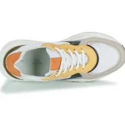 Citrouille et Compagnie - NUMANJI Discount