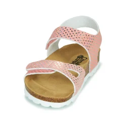 Citrouille et Compagnie - BELLI JOE Rose