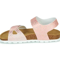 Citrouille et Compagnie - BELLI JOE Rose