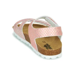 Citrouille et Compagnie - BELLI JOE Rose