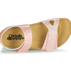 Citrouille et Compagnie - BELLI JOE Rose