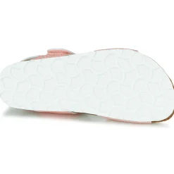 Citrouille et Compagnie - BELLI JOE Rose