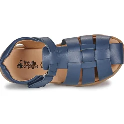 Citrouille et Compagnie - ZAPIDO Navy Clearance