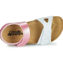 Citrouille et Compagnie - BELLI JOE Rose New