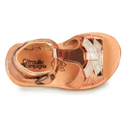 Outlet Citrouille et Compagnie - MINIMOME Bronze