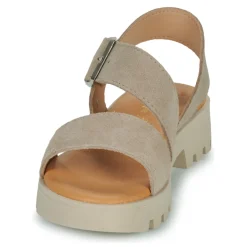 Citrouille et Compagnie - PIPOTI Taupe New