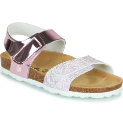 Citrouille et Compagnie - BELLI JOE Rose Online