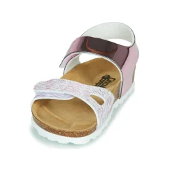 Citrouille et Compagnie - BELLI JOE Rose Online