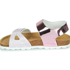 Citrouille et Compagnie - BELLI JOE Rose Online