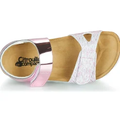 Citrouille et Compagnie - BELLI JOE Rose Online