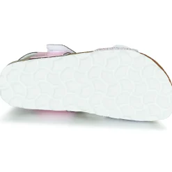 Citrouille et Compagnie - BELLI JOE Rose Online