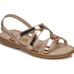 Citrouille et Compagnie - GENTOU