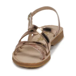 Citrouille et Compagnie - GENTOU