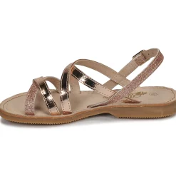 Citrouille et Compagnie - GENTOU