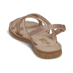 Citrouille et Compagnie - GENTOU