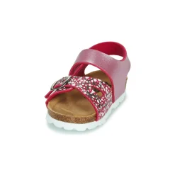 Citrouille et Compagnie - MIRTINO Rose Hot