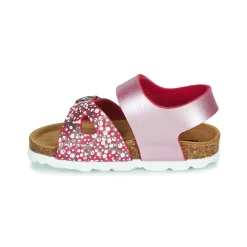 Citrouille et Compagnie - MIRTINO Rose Hot