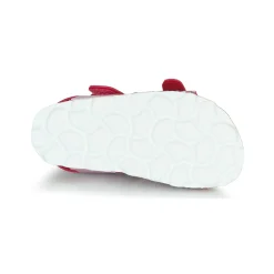 Citrouille et Compagnie - MIRTINO Rose Hot