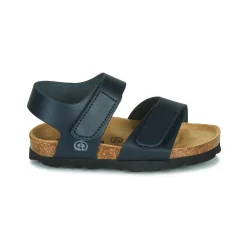 Citrouille et Compagnie - BELLI JOE