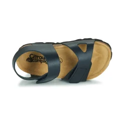 Citrouille et Compagnie - BELLI JOE