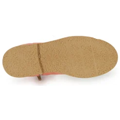 Citrouille et Compagnie - PRAIRIE Rose Online