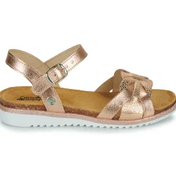 Citrouille et Compagnie - ANEMONI