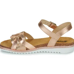 Citrouille et Compagnie - ANEMONI