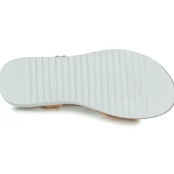 Citrouille et Compagnie - ANEMONI